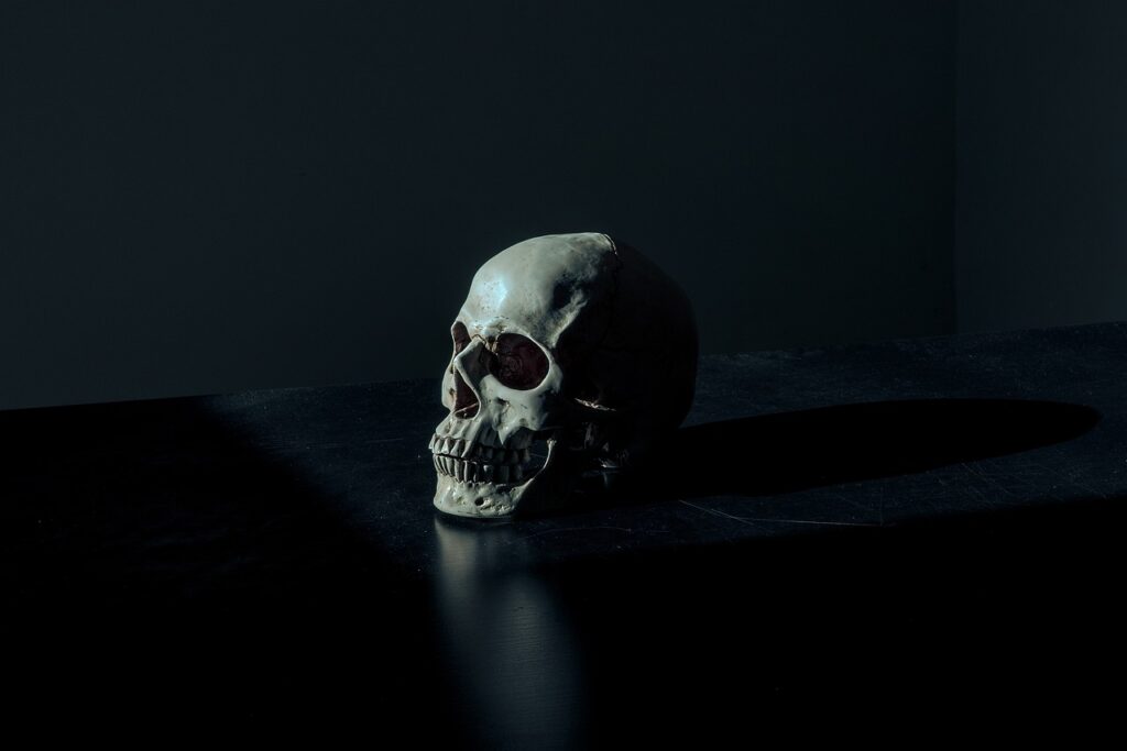 skull, creepy, dark-1867707.jpg