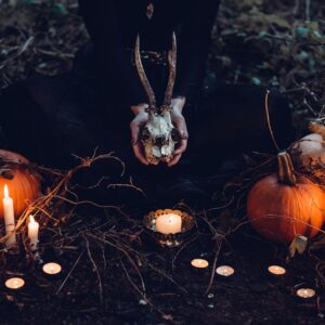 candles, pumpkins, witch-1868640.jpg