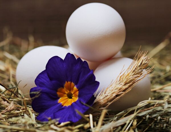 eggs, straw, flower-2048486.jpg